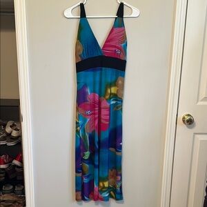 Raya Sun Maxi Dress in Blue and Pink with V-Neckline. Size Small.